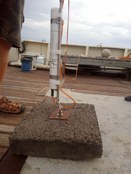 photo_1_2024-08-19_15-35-18