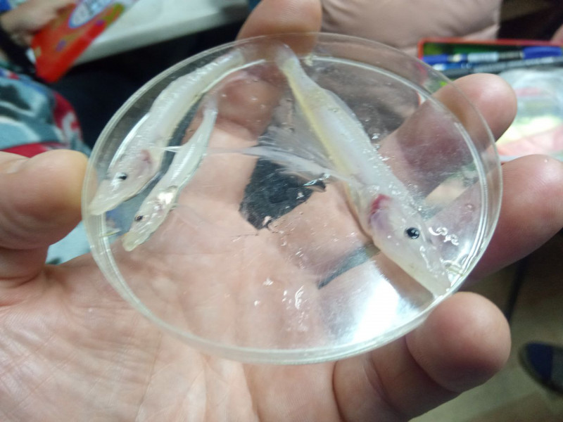 photo_3_2024-08-19_15-35-18